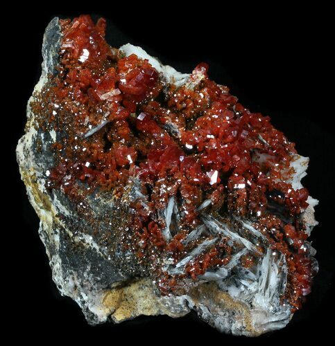 Huge Deep Red Vanadinite Crystal Cluster - Morocco #32361